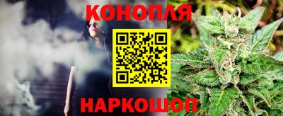 крисы Нягань