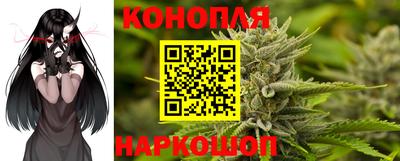 крисы Нягань